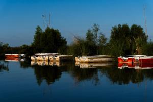 Casa Cercada, Pet Friendly, Hospedaje Monte