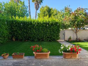 Bouganville Apartment Otranto