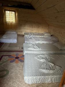 Aleos cabin