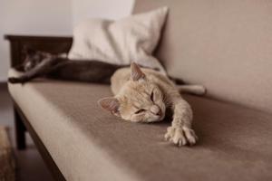 My little Farm Agroturizam