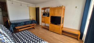 Appartements Prapoutel - Les 7 Laux : photos des chambres