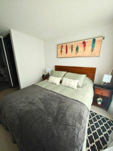 Vicuña Urban Stay