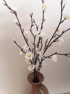 Casa Vila Rosa - T1 Altura Beach