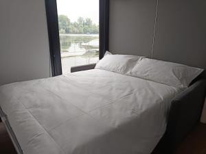 DIAMOND Bigigio House Boat