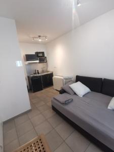 Appartements Le Central : photos des chambres