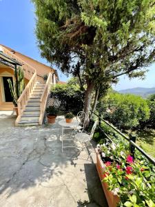 Casa Marina, relax tra Mare e Ulivi