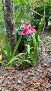 Refúgio com Pé na Areia