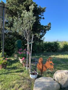 Casale de LOvo Tuscany Relax