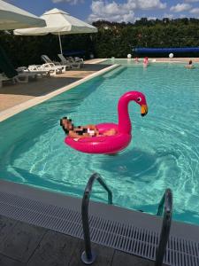 Pensiunea Harmony Băile Felix