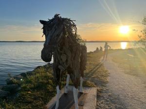 Maisons de vacances La parenthese au pied du lac : photos des chambres