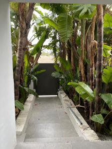 Dreamhomesbymaria next to puerto banus