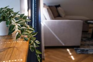 Pinska Business Apartment