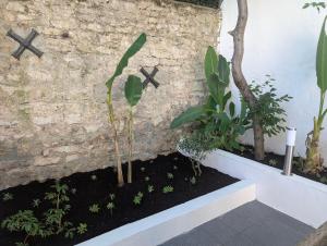 Le Patio - Villa Valmy - Hypercentre - Gare SNCF