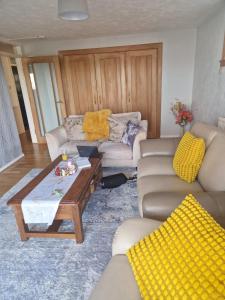 Vibrant Room in Centeral Ayr