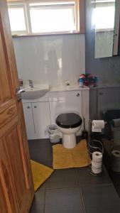 Vibrant Room in Centeral Ayr