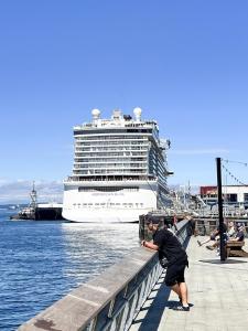 Amazing Rooftop View in heart of Seattle - Townhome with WiFi, AC