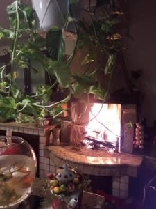 Graces House Bed and Breakfast