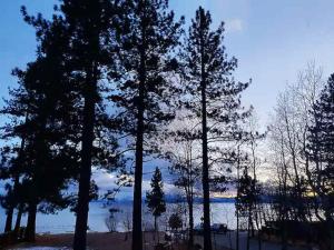 #9 Lakeside Location Beach Access View BalconyDog