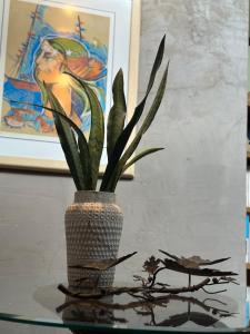 Flor da Serra