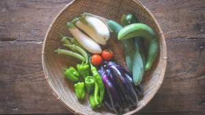 1日1組限定 体験型古民家宿"ハレハレ" 超新鮮卵かけご飯付き-自給自足を営む若夫婦がセルフビルドした宿- 平飼い卵の収穫と五右衛門風呂沸かし体験付き