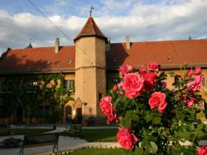 Worners Schloss Weingut & Wellness-Hotel