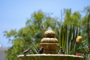 Beach 5 min walk - Private Casa Shona 5 Bedroom