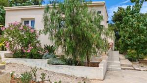 Family friendly house with a swimming pool Rukavac, Vis - 24700