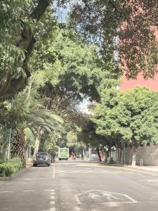 Apartment in Mexico City