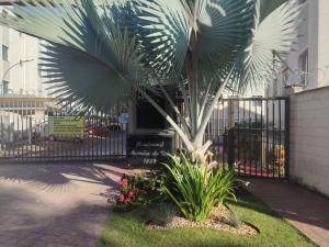 Jeitoso - Apartment in Sete Lagoas