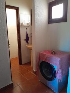 Centrical apartment in Ifrane forest and park view