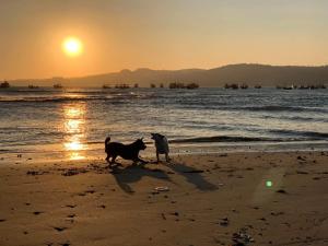 Nhà Nghỉ Trường Sinh Mũi Né