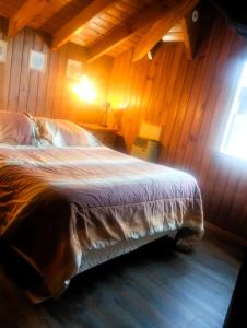 San martin de los andes cabaña