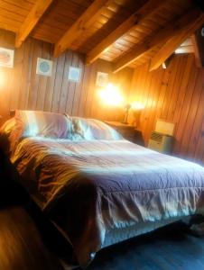 San martin de los andes cabaña