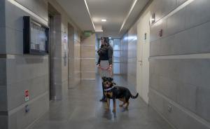 Departamento en el centro de Chillán - piso 17