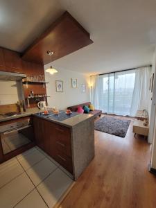 Bello departamento en Santiago Centro frente al parque Los Reyes