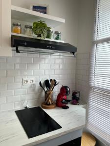 Tommy and Dahlias place - cozy 4 people apartments