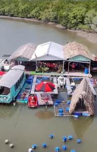 Cần Giờ Floating House