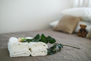 Apartament Centrum Rzeszów