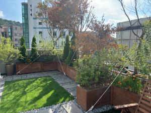 Stay Cheonglim 靑林