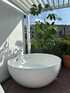 Stay Cheonglim 靑林