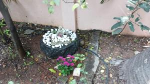 Garden Villa, Hyderabad