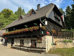 Planinska koča na Kopitniku