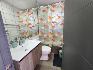 Full Accommodation in Villarrica