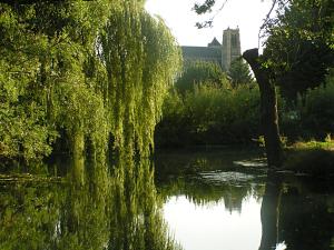 B&B / Chambres d'hotes Les Glycines : photos des chambres