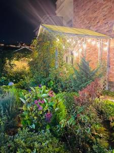 La Roza Dalat Boutique Hotel