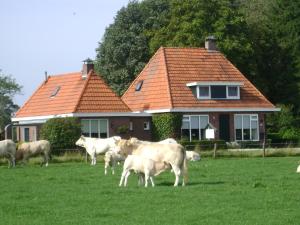 Vakantiewoning Keizer - Бад-Бентхайм