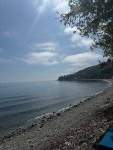 Studio Nikol koutsoupia