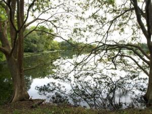 Explorer by Eco Team - Dambana