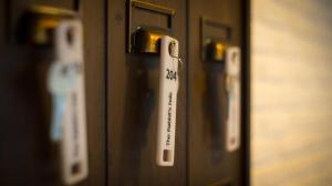 The rabbits hole hostel