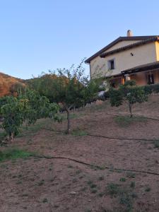 B&B Sa Soliana
